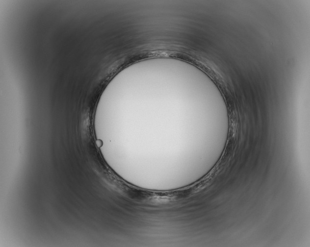 X0000116840314200912181119