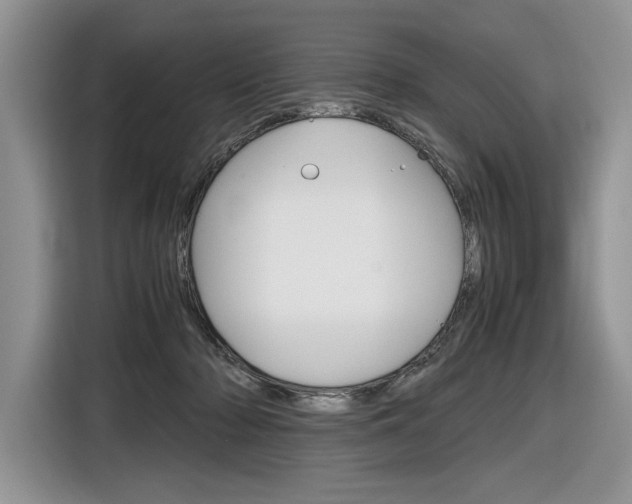 X0000116840318200912181119