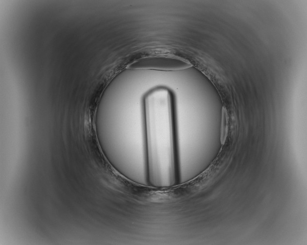 X0000116840320200912181119