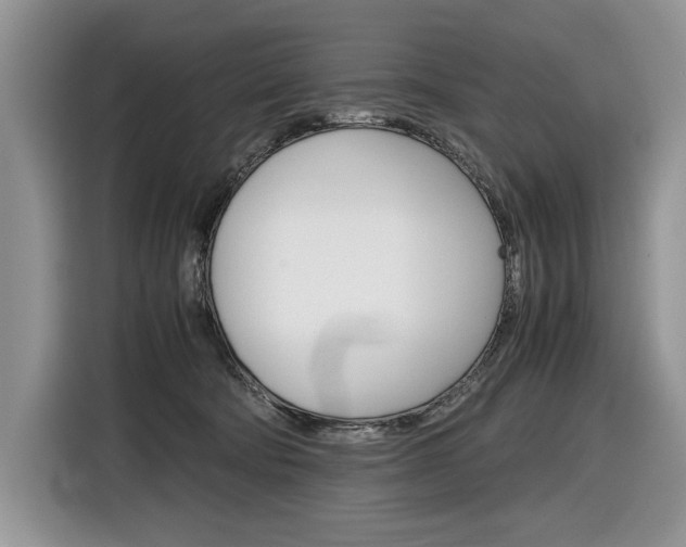 X0000116840322200912181119
