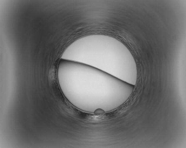 X0000116840323200912181119