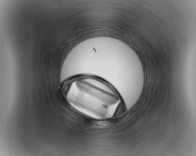 X0000116840324200912181119