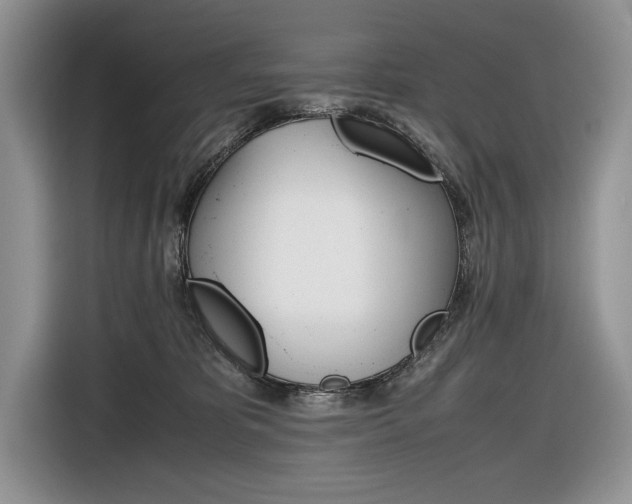 X0000116840325200912181119