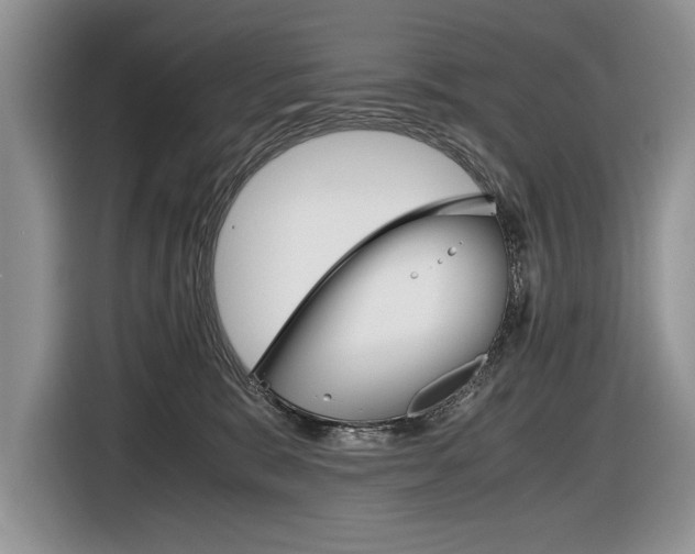 X0000116840327200912181119
