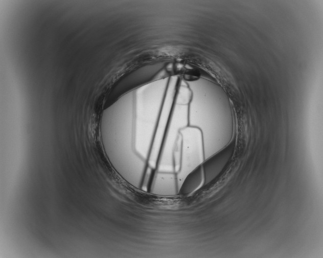 X0000116840328200912181119