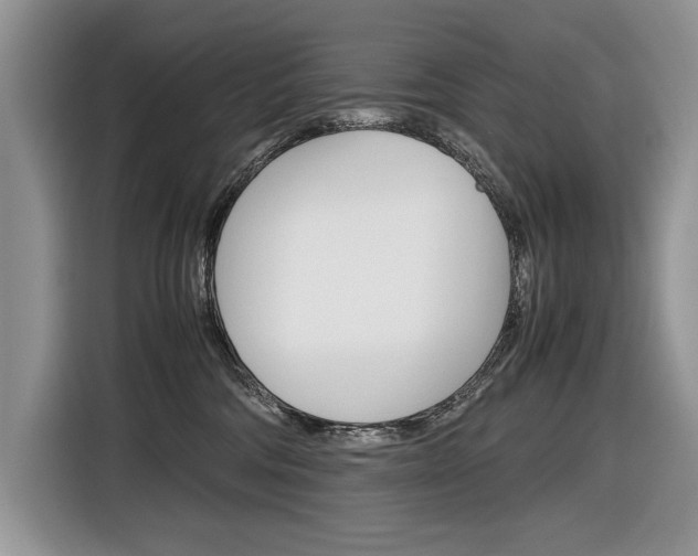 X0000116840330200912181119