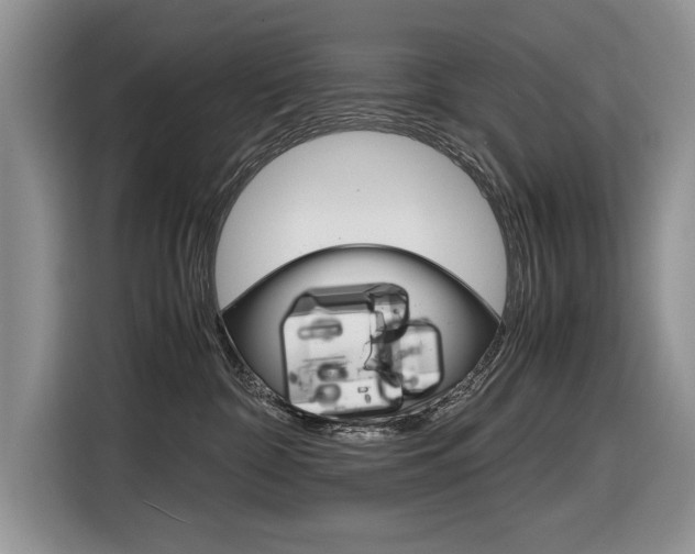 X0000116840332200912181119