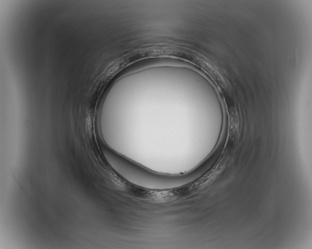 X0000116840333200912181119