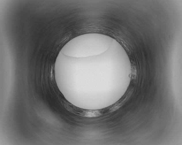 X0000116840334200912181119