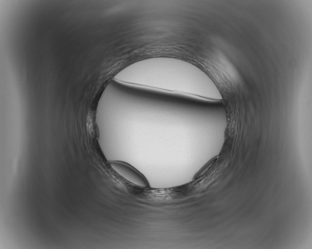 X0000116840335200912181119