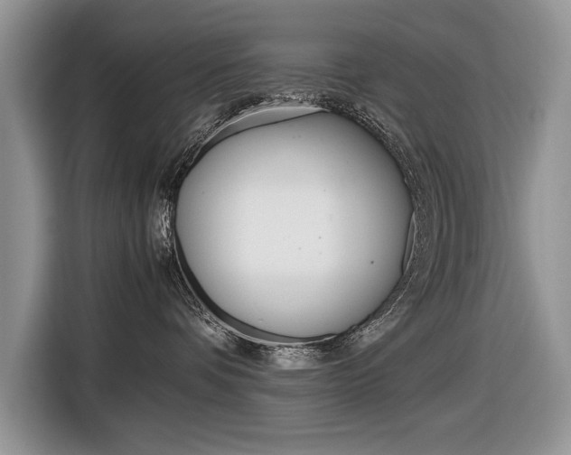 X0000116840336200912181119