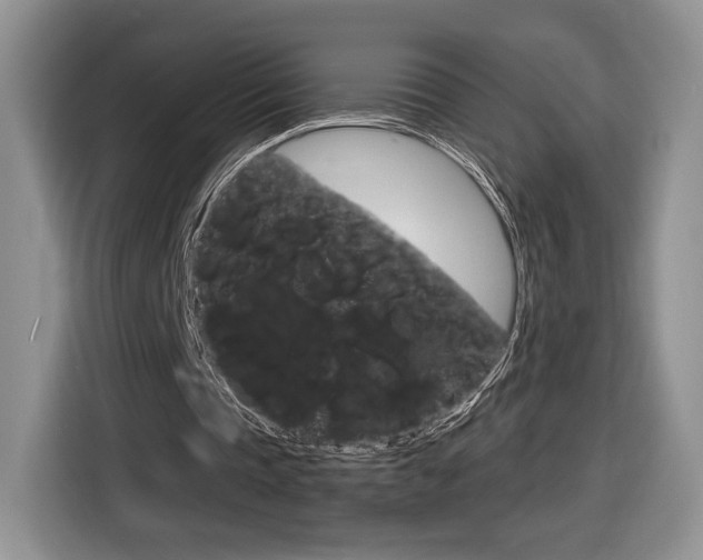 X0000116840337200912181119