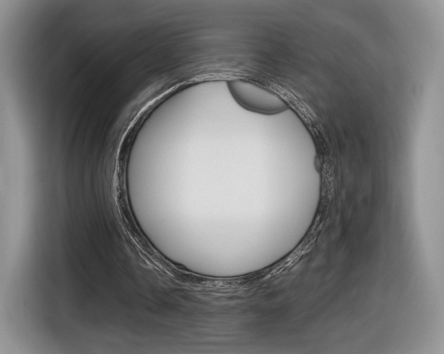 X0000116840338200912181119