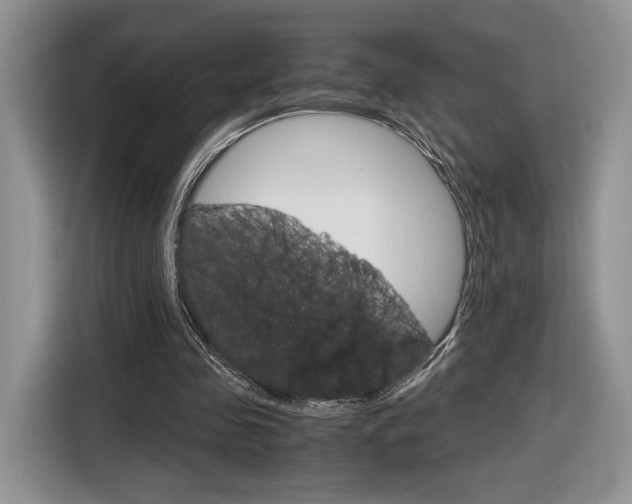 X0000116840341200912181119