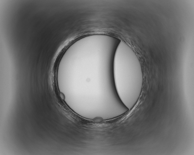 X0000116840342200912181119