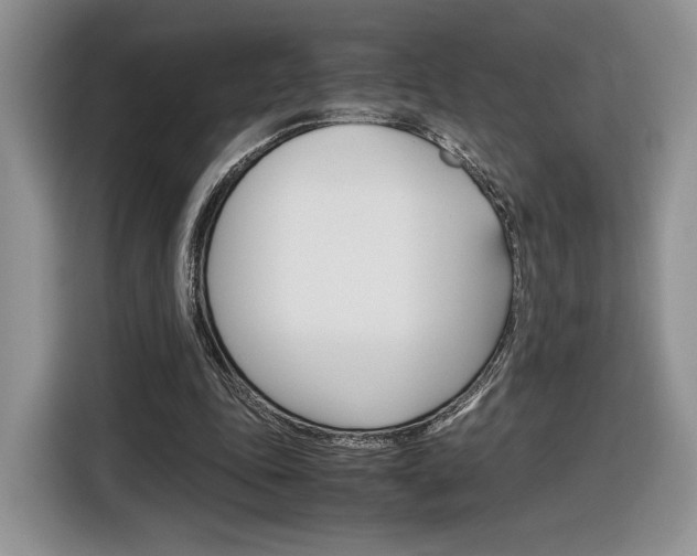X0000116840343200912181119