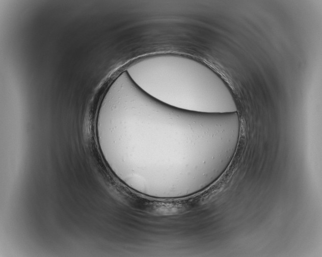 X0000116840347200912181119