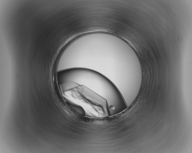 X0000116840350200912181119