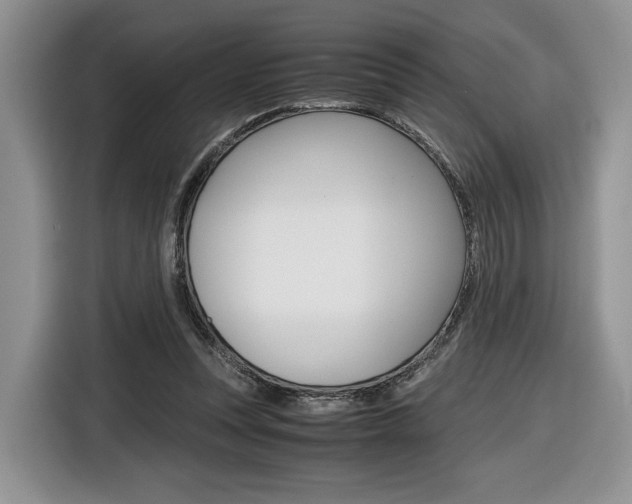 X0000116840351200912181119