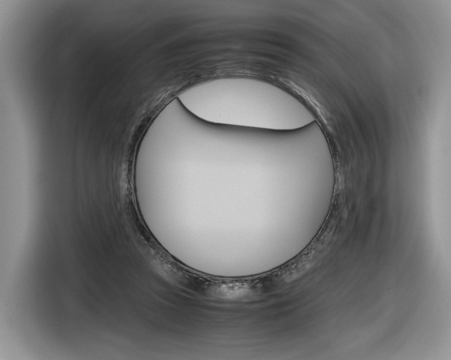 X0000116840353200912181119