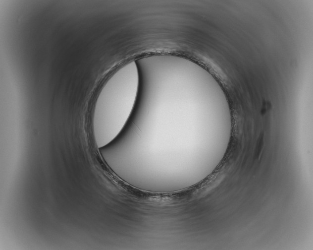 X0000116840354200912181119
