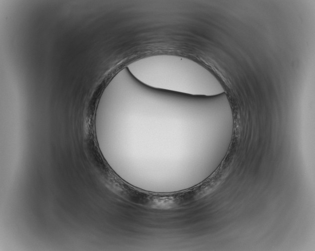 X0000116840355200912181119