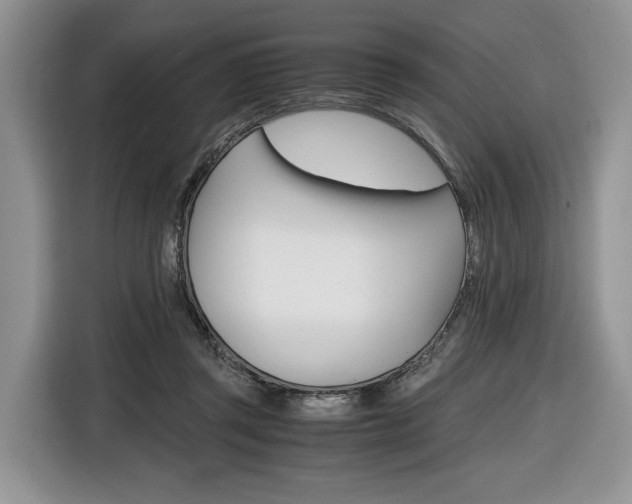 X0000116840357200912181119