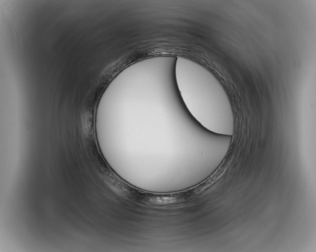 X0000116840361200912181119