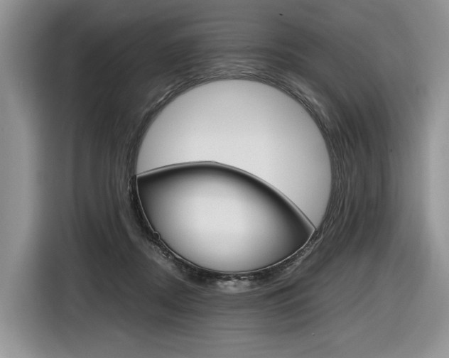 X0000116840362200912181119