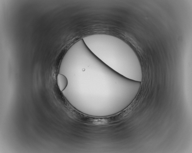 X0000116840363200912181119