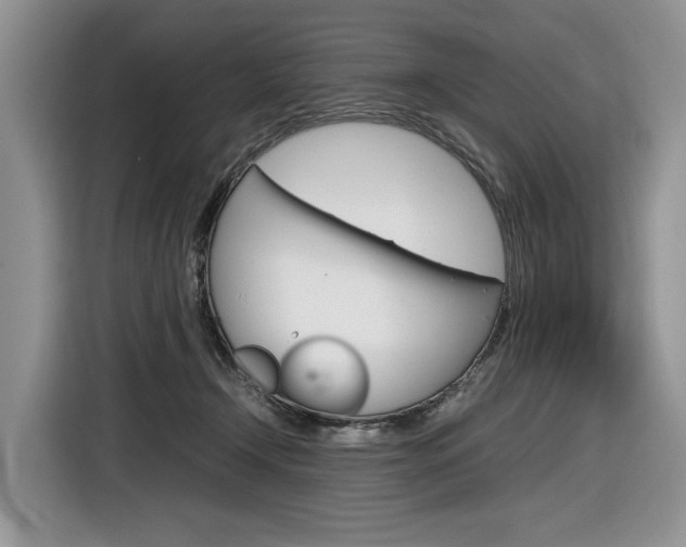 X0000116840366200912181119