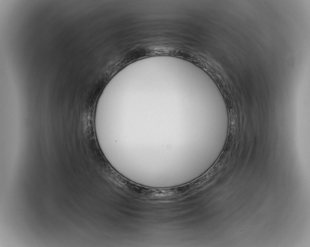 X0000116840369200912181119