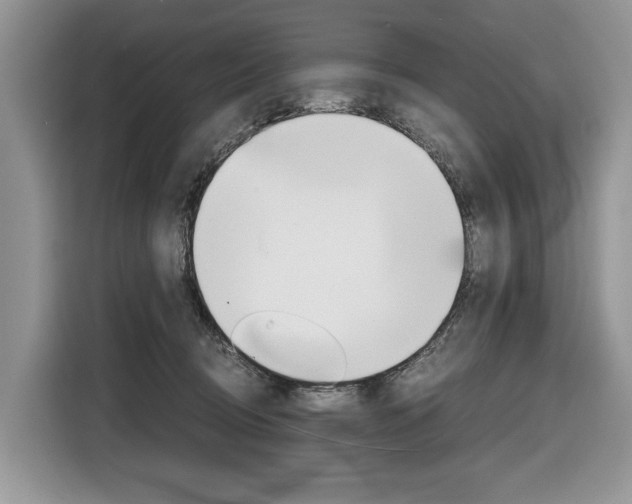 X0000116840370200912181119
