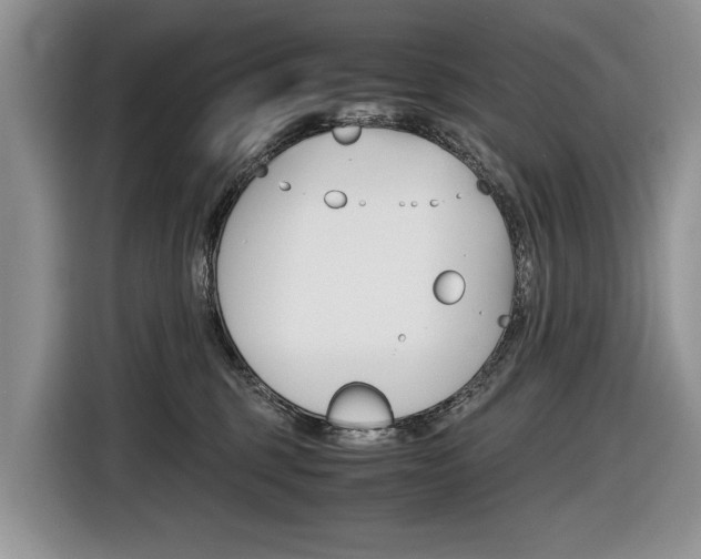 X0000116840375200912181119