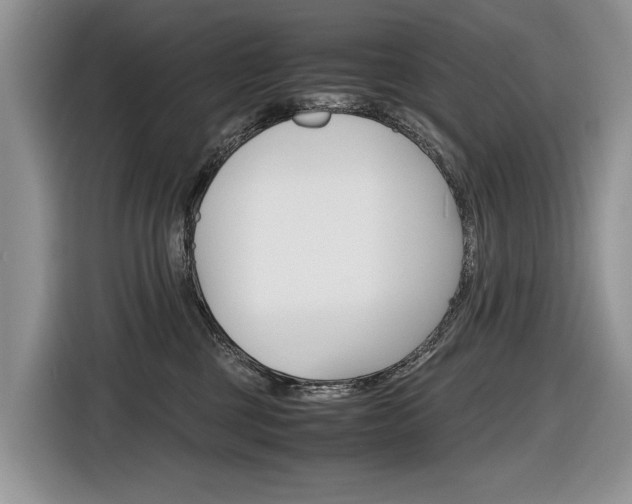 X0000116840377200912181119