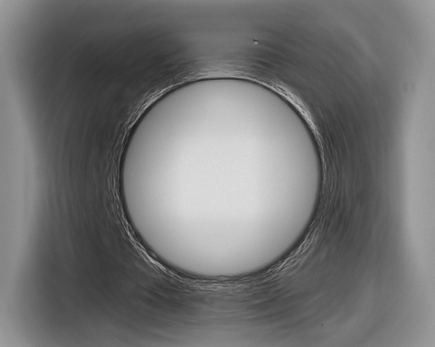 X0000116840385200912181119