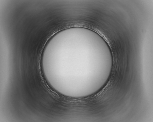 X0000116840386200912181119