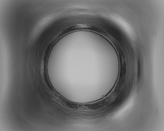 X0000116840387200912181118