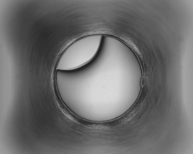 X0000116840389200912181118
