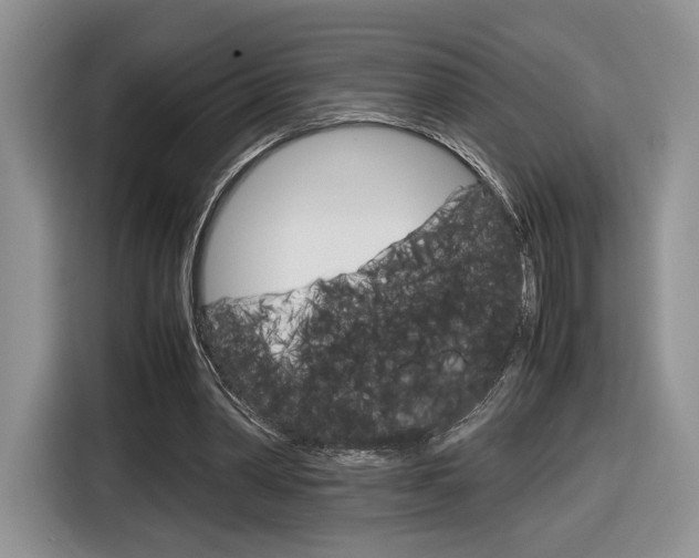X0000116840390200912181118