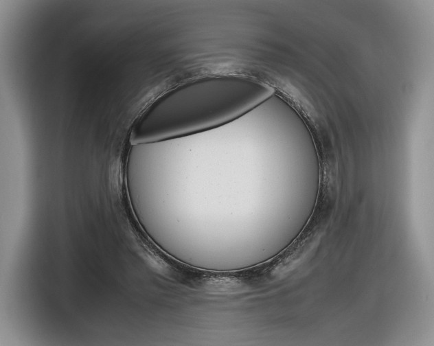 X0000116840397200912181118