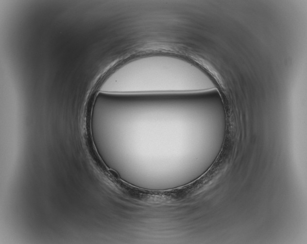 X0000116840399200912181118