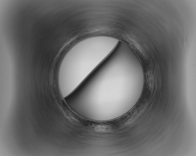 X0000116840400200912181118