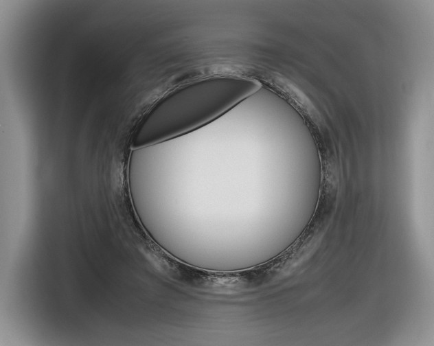 X0000116840401200912181118