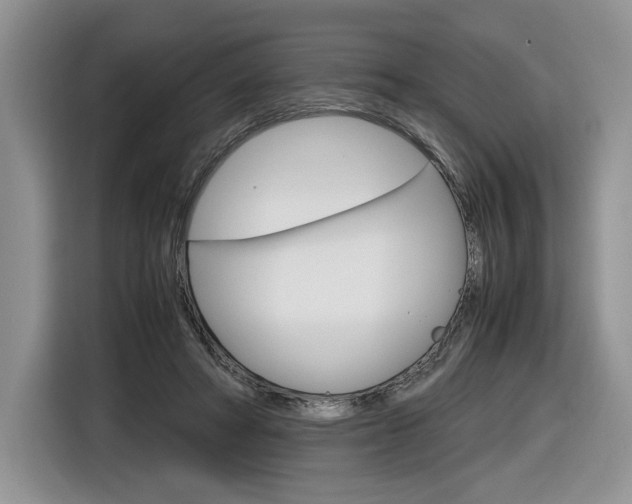 X0000116840402200912181118