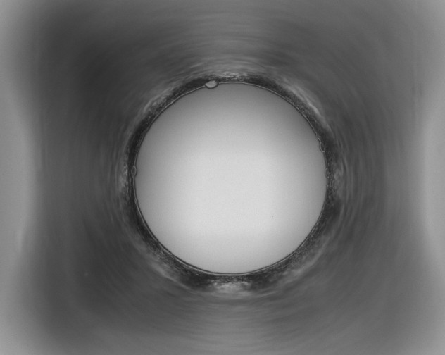 X0000116840407200912181118