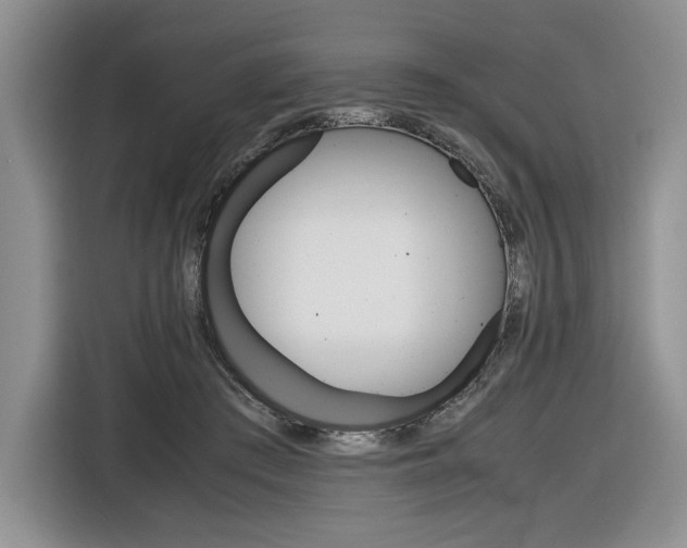 X0000116840409200912181118