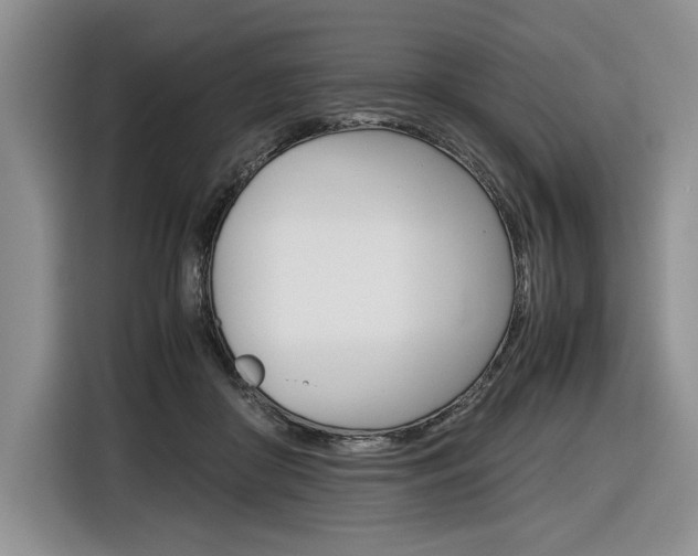 X0000116840410200912181118