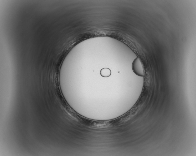 X0000116840414200912181118