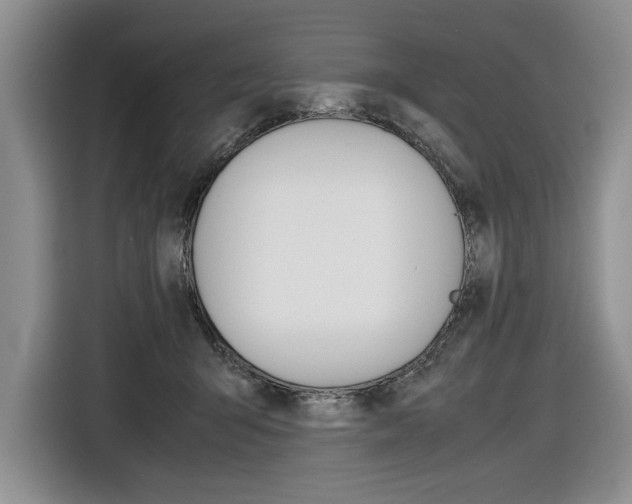 X0000116840415200912181118